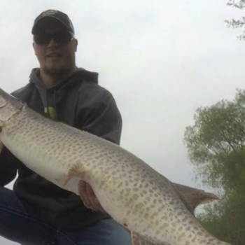 Musky Fishing - Double Nickel Outdoors