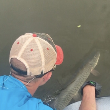 Musky Fishing - Double Nickel Outdoors